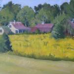 Tubby's Farm with Crownbeard - 16 x 20 - Oil on canvas
